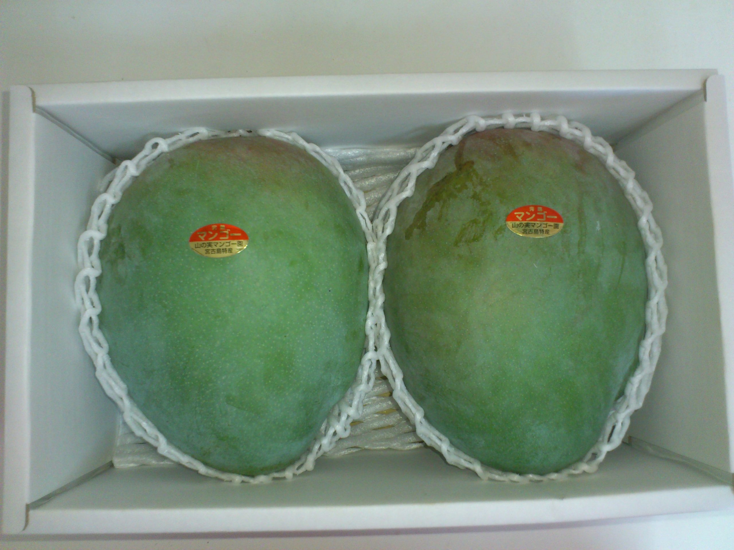 キーツマンゴー約2kg(2~3⽟)送料・税込 7月下旬頃より順次発送